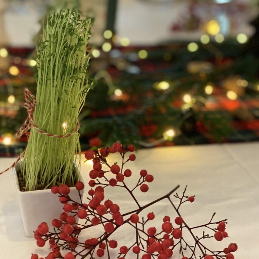 Des idées pour une déco de Noël éco-responsable